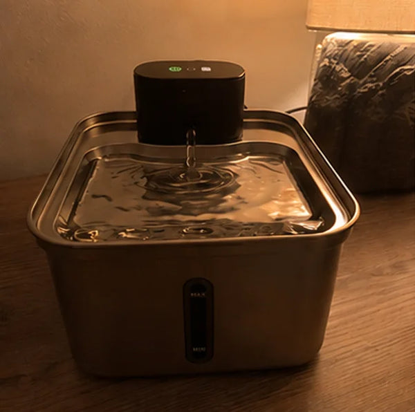 Customer photo of the Whiskerys fountain at home