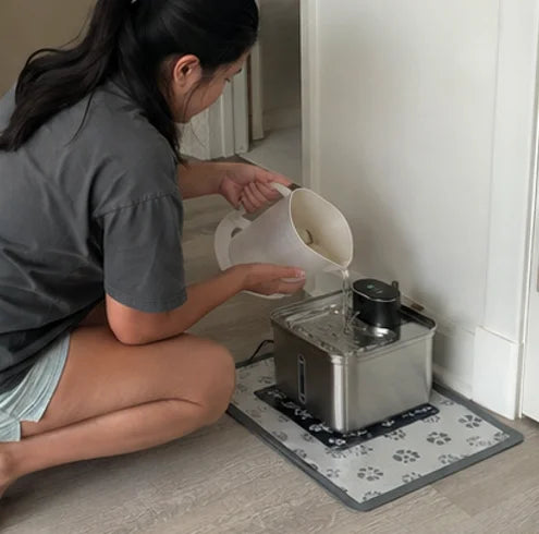 Owner cleaning the fountain at home