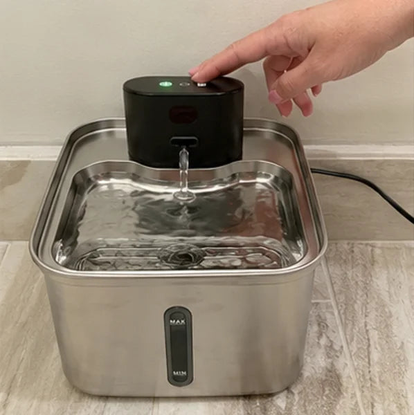 Customer photo of the Whiskerys fountain at home