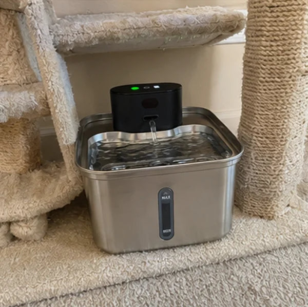 Customer photo of the Whiskerys fountain at home