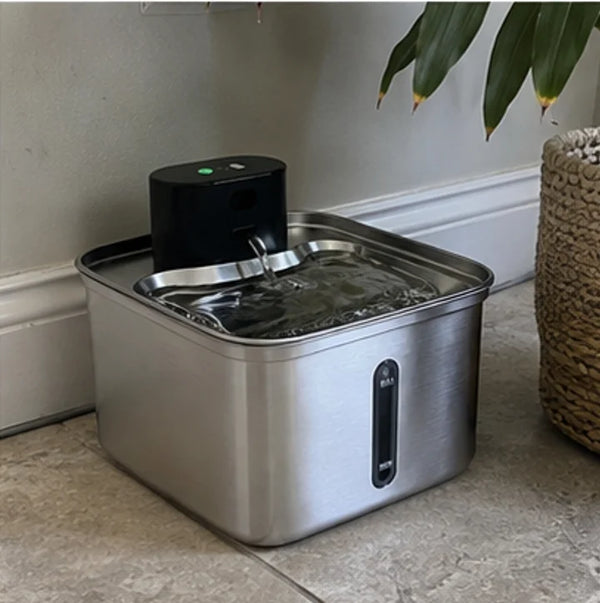 Customer photo of the Whiskerys fountain at home