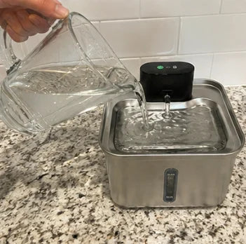 Customer photo of the Whiskerys fountain at home
