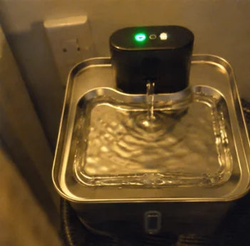 Customer photo of the Whiskerys fountain at home