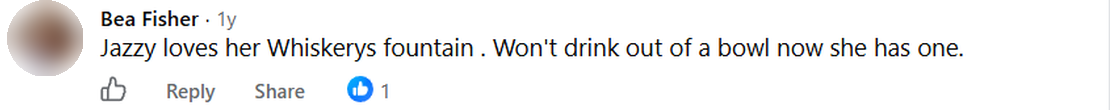 Screenshot of a Facebook comment by Bea Fisher: Jazzy loves her Whiskerys fountain . Won't drink out of a bowl now she has one.