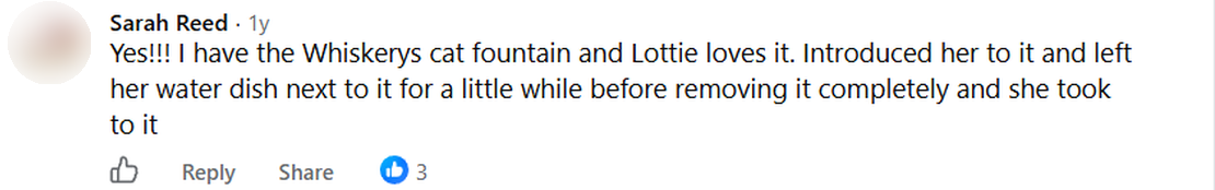 Screenshot of a Facebook comment by Sarah Reed: Yes!!! I have the Whiskerys cat fountain and Lottie loves it. Introduced her to it and left her water dish next to it for a little while before removing it completely and she took to it