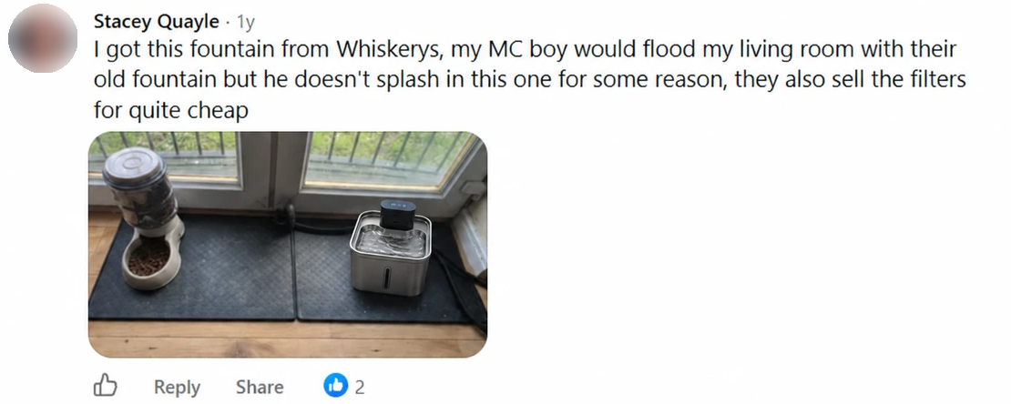 Screenshot of a Facebook comment by Stacey Quayle: I got this fountain from Whiskerys, my MC boy would flood my living room with their old fountain but he doesn't splash in this one for some reason, they also sell the filters for quite cheap